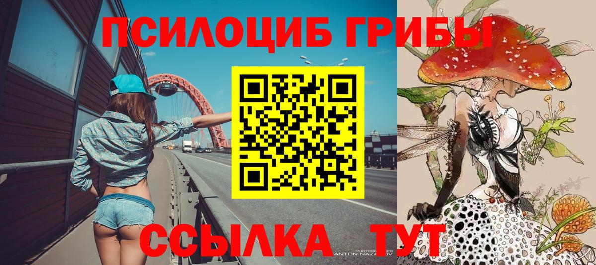 Галлюциногенные грибы прущие грибы Кудрово
