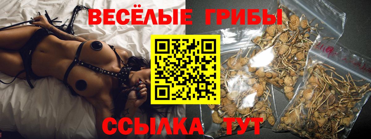 Кудрово  Галлюциногенные грибы GOLDEN TEACHER  Вход с VPN 